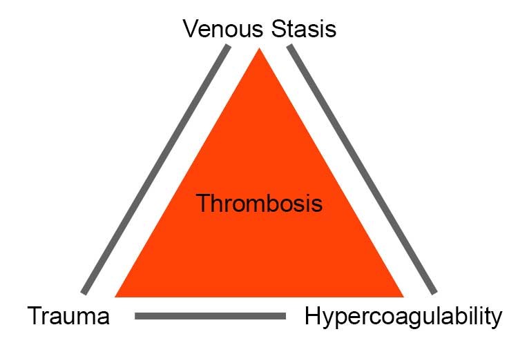 VTE Prophylaxis(圖4)