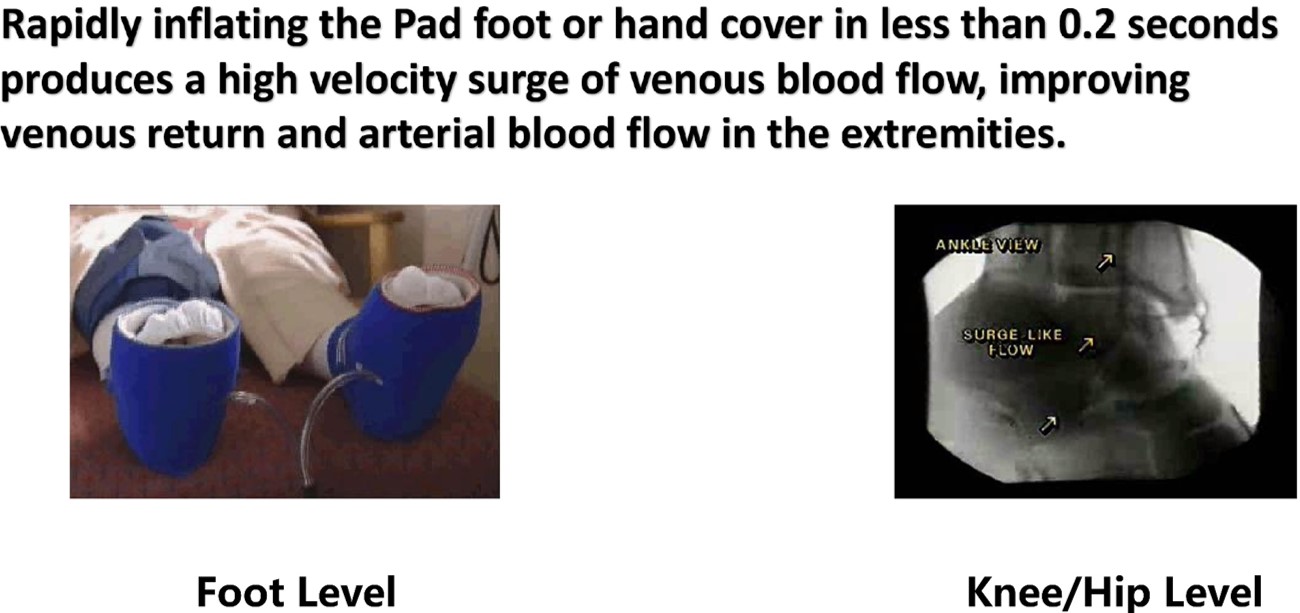 Modern Treatment for Arterial Disease(圖7)