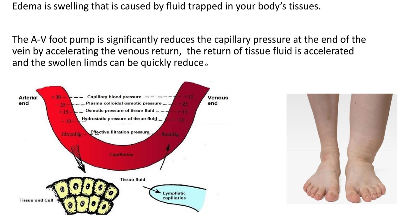 Modern Treatment for Arterial Disease(圖27)