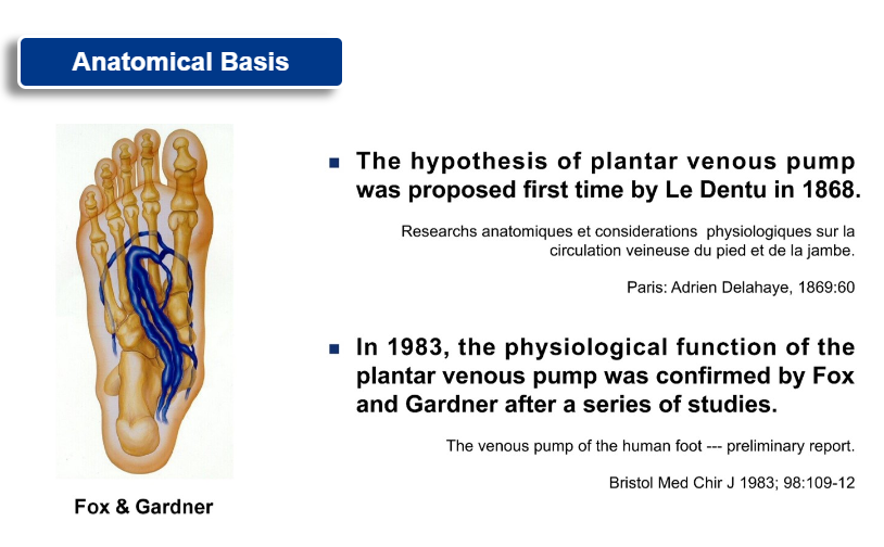 Modern Treatment for Arterial Disease(圖3)